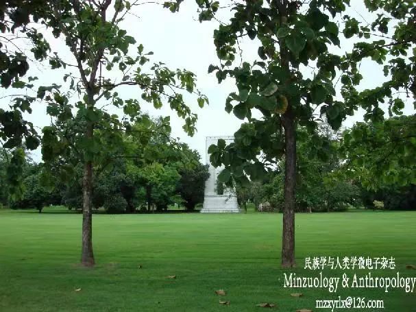 學(xué)?；顒?dòng)主題名稱大全_學(xué)校進(jìn)校門(mén)的墻文化_學(xué)校文化墻主題名稱